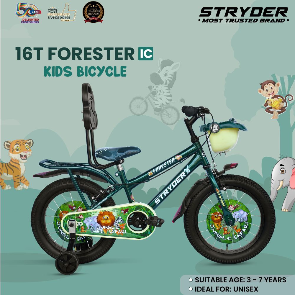 16 FORESTER IC - forester green