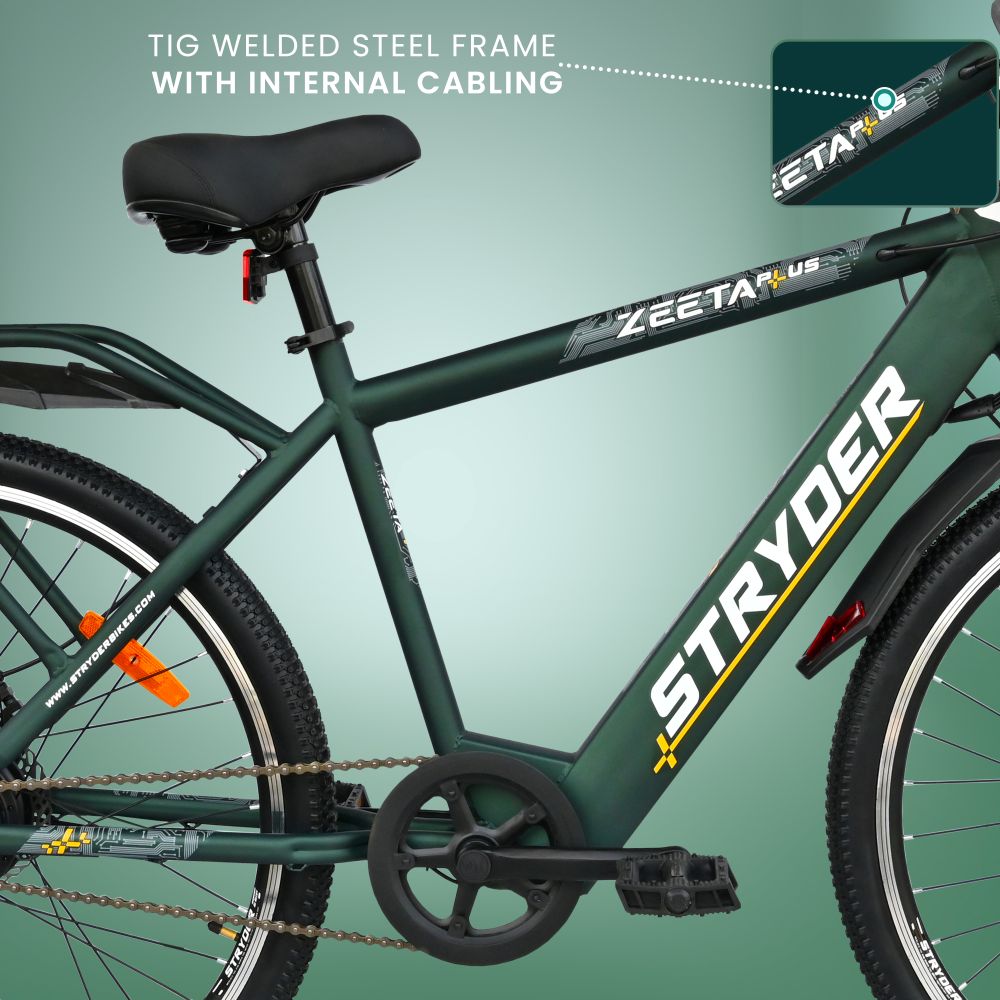 Zeeta Plus IC TATA E-Bike - forest green