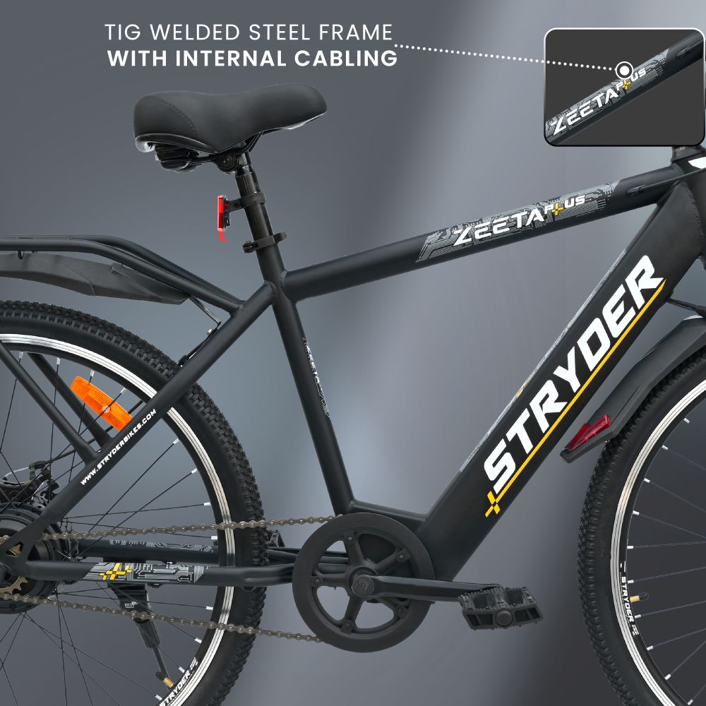 Zeeta Plus IC TATA E-Bike - black