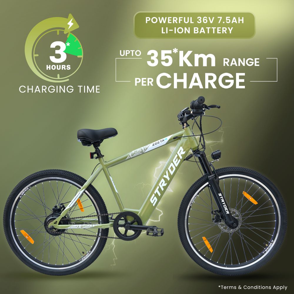 Zeeta Max TATA Electric Cycle 4 - sage green