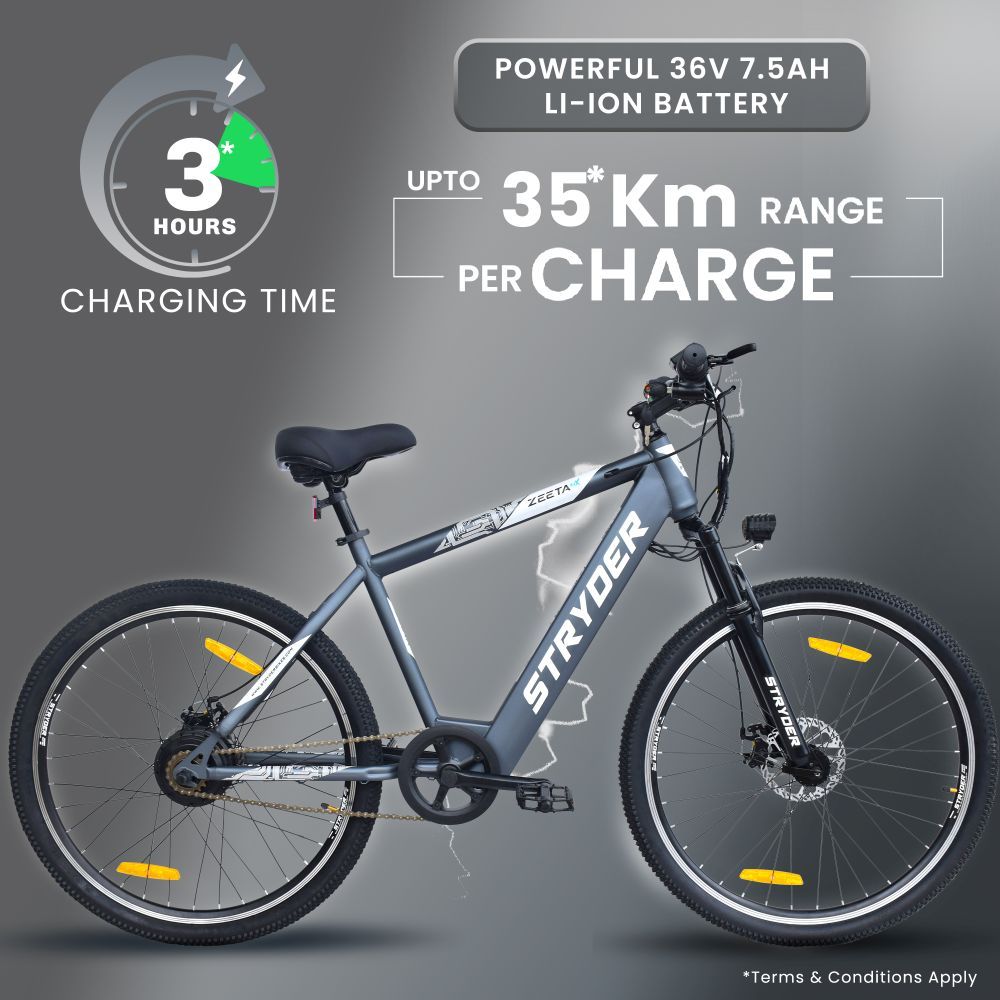 Zeeta Max TATA Electric Cycle - grey