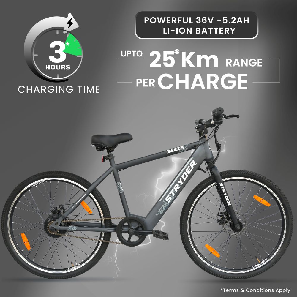27.5 Inch TATA Zeeta Electric Bicycle - grey