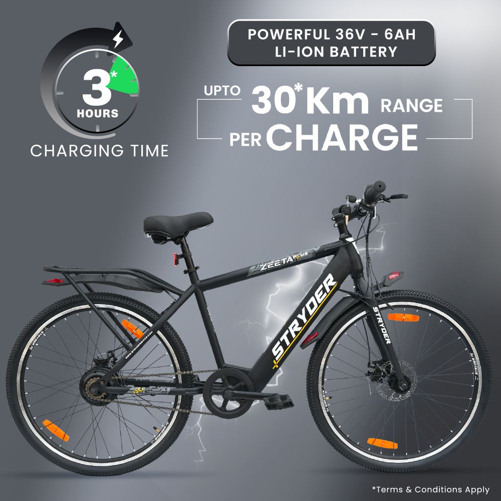 Zeeta Plus IC TATA E-Bike - black