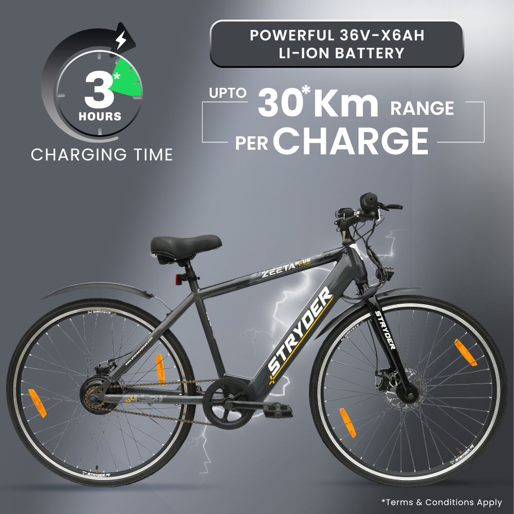 tata zeeta plus - grey