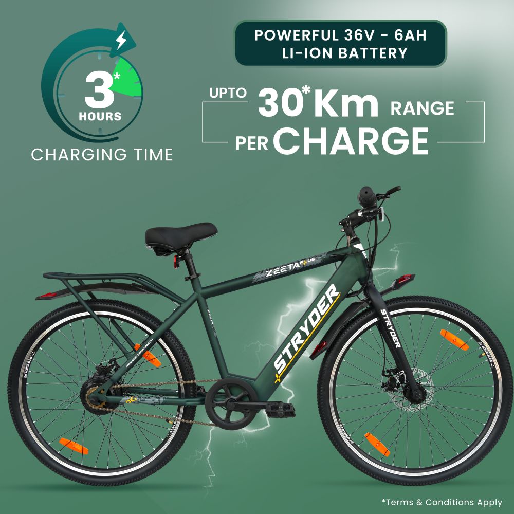 Zeeta Plus IC TATA E-Bike - forest green