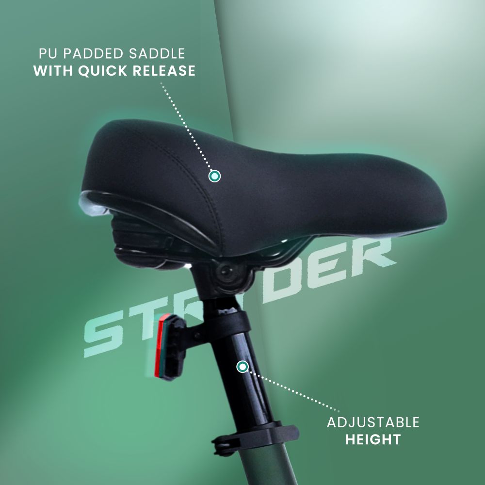 Zeeta Plus IC TATA E-Bike - forest green