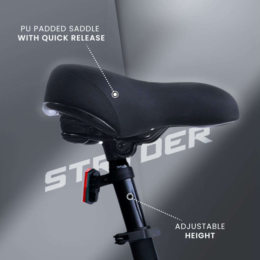 Zeeta Plus IC TATA E-Bike - black