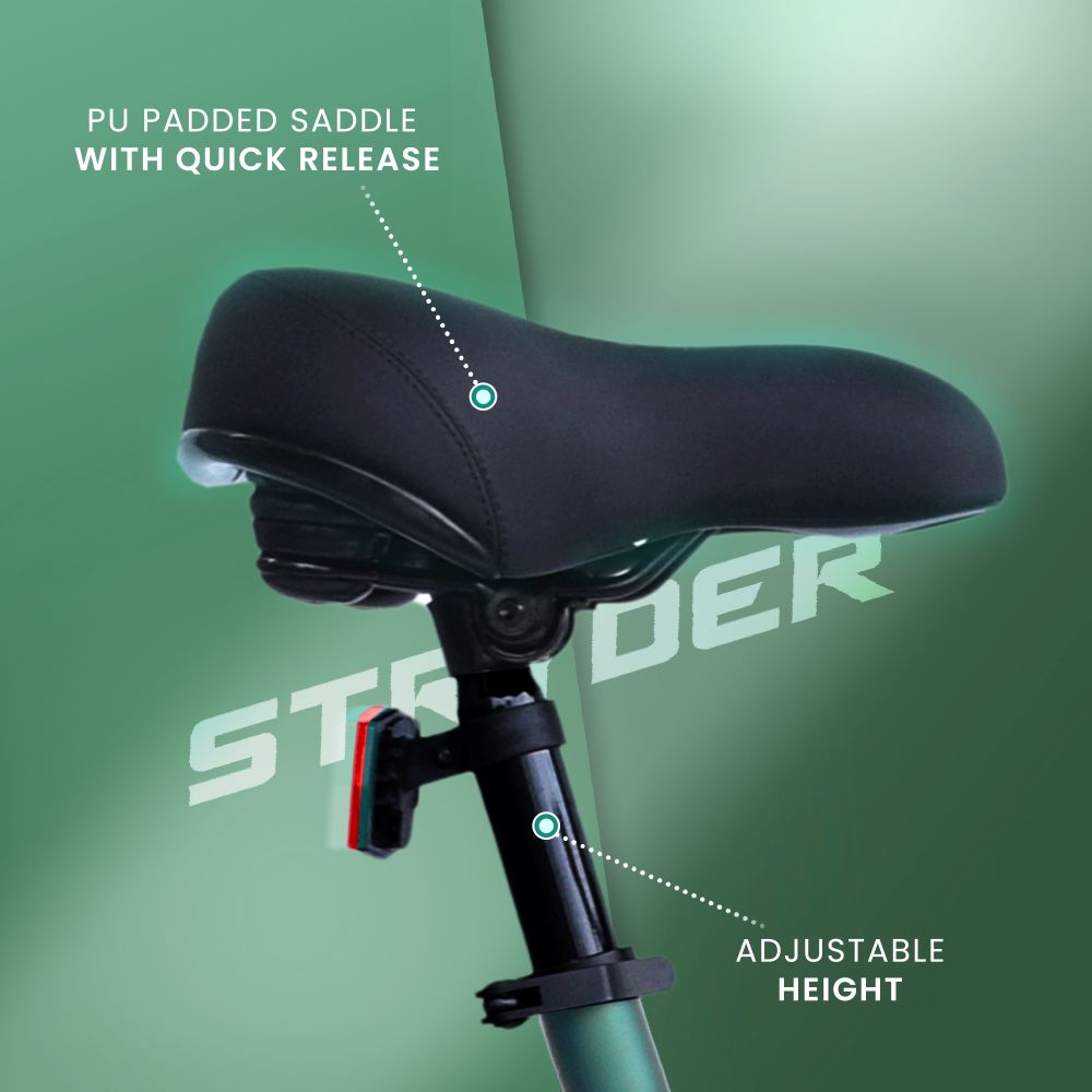 27.5 Inch TATA Zeeta Electric Bicycle - forest green