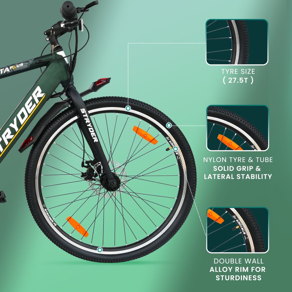 Zeeta Plus IC TATA E-Bike - forest green