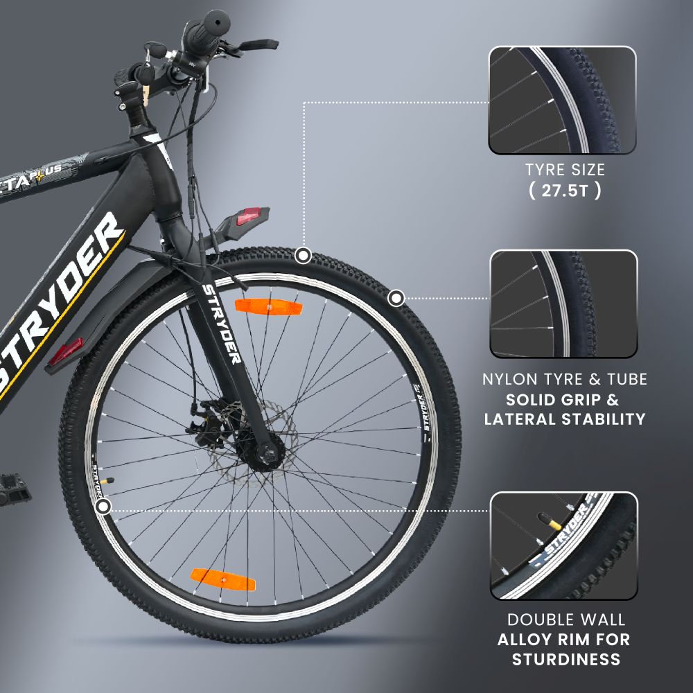 Zeeta Plus IC TATA E-Bike - black