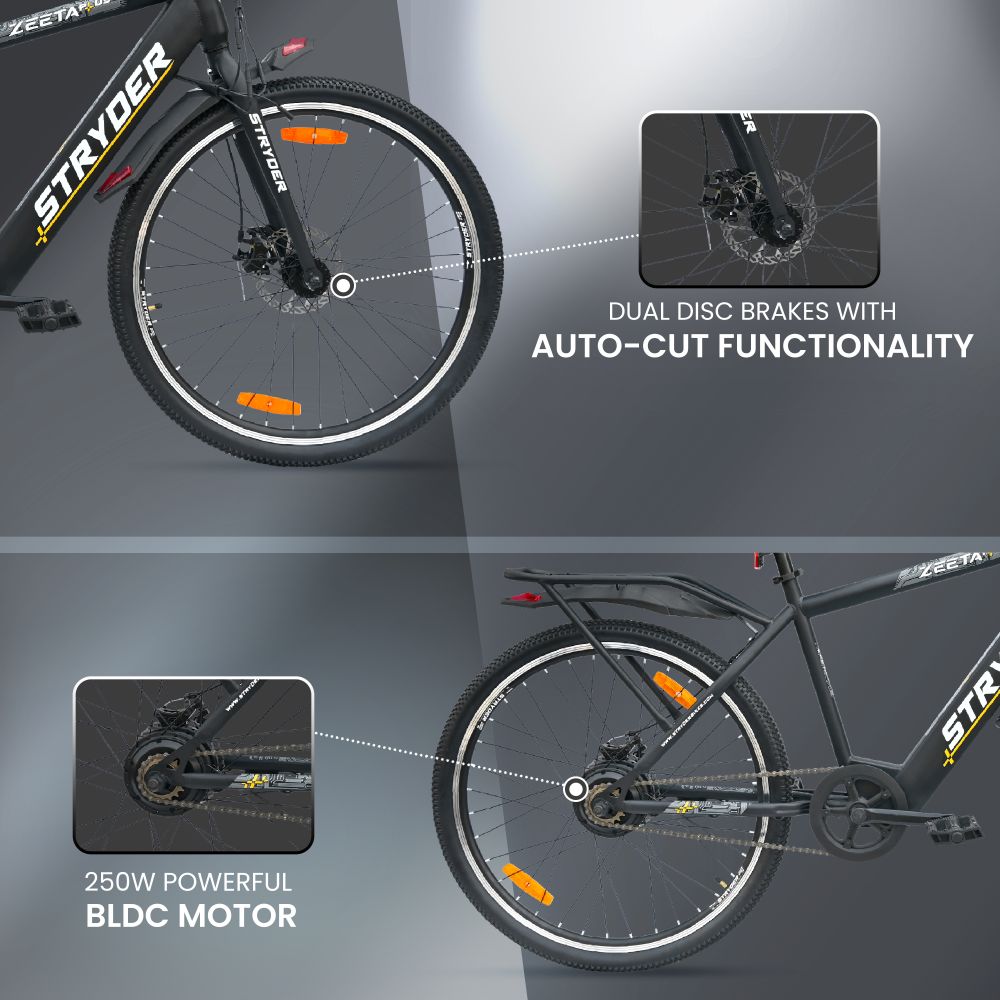 Zeeta Plus IC TATA E-Bike - black