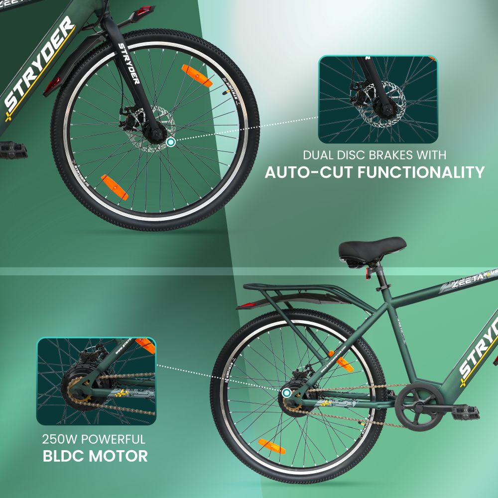Zeeta Plus IC TATA E-Bike - forest green