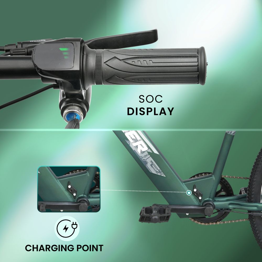 27.5 Inch TATA Zeeta Electric Bicycle - forest green