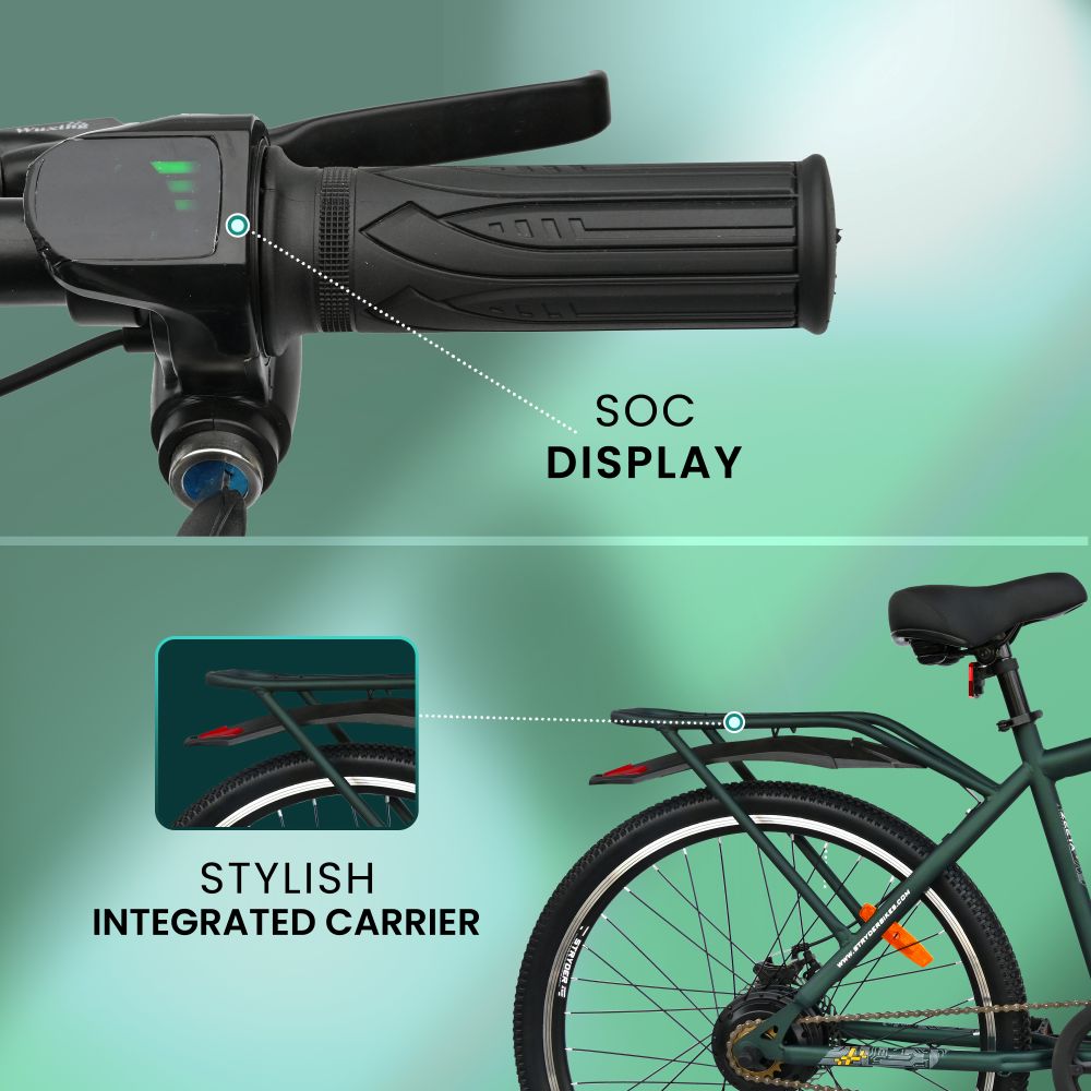 Zeeta Plus IC TATA E-Bike - forest green