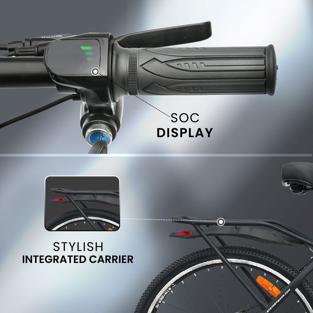 Zeeta Plus IC TATA E-Bike - black