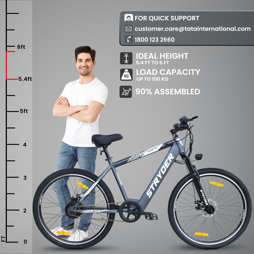 Zeeta Max TATA Electric Cycle - grey