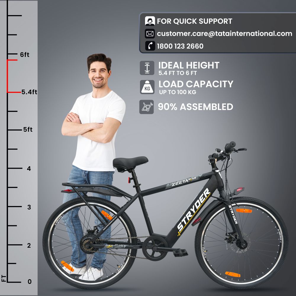 Zeeta Plus IC TATA E-Bike - black