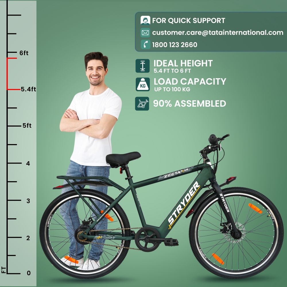 Zeeta Plus IC TATA E-Bike - forest green