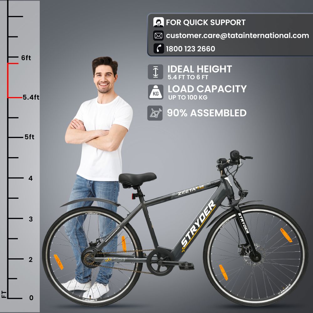 tata zeeta plus - grey