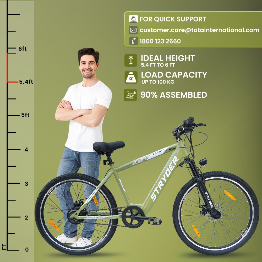 Zeeta Max TATA Electric Cycle 8 - sage green