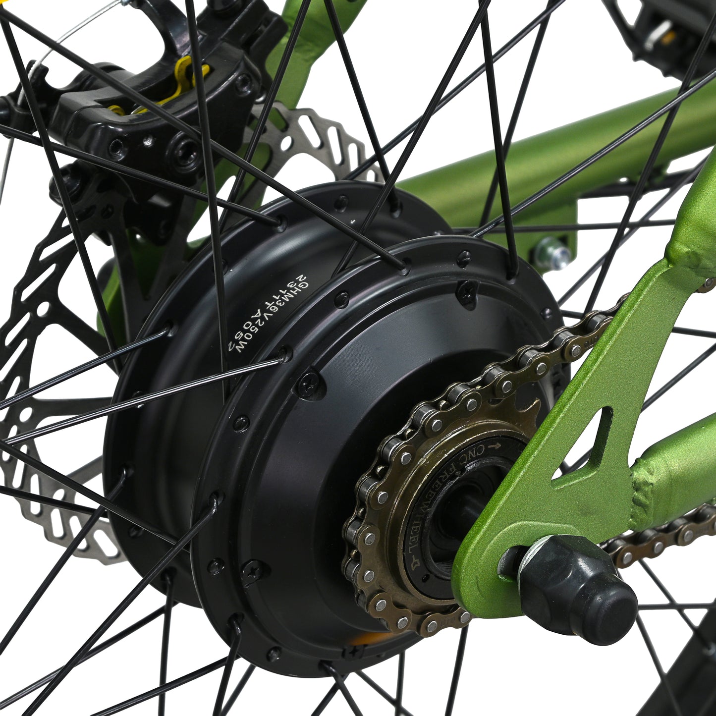 TATA Airborne - Green