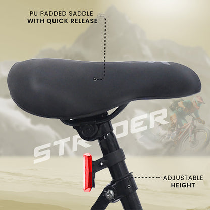 tata aerojet - sage green