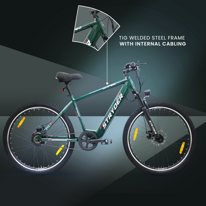 tata amped - forest green