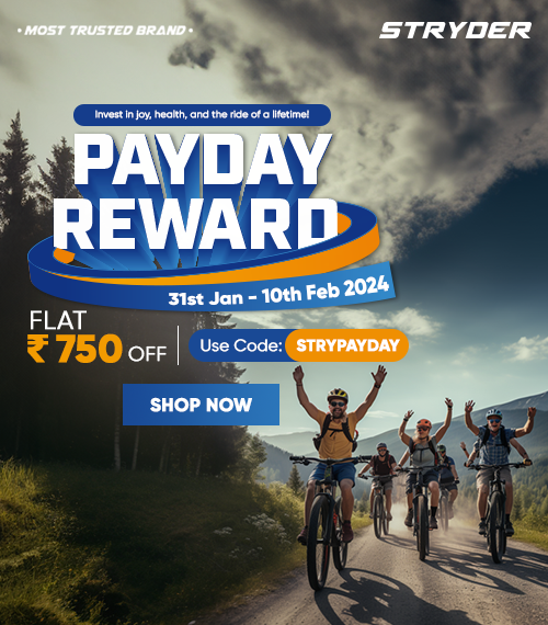 Mountain bike stores near discount me