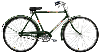 tata eagle - green