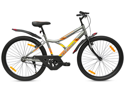 tata roadfire - grey